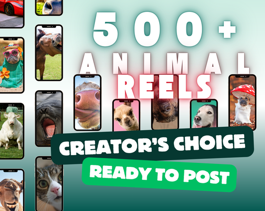 2,100ᐩ Animal Reels Collection & Canva Basics
