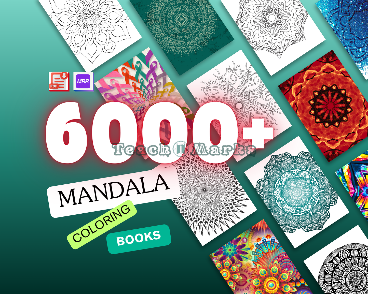3-in-1 Busy Book Zoo Themes + Canva Basics & Ebooks With Mandala Coloring Book