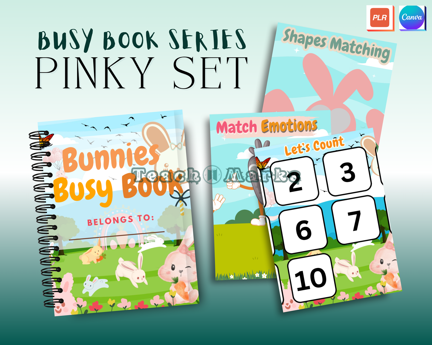 3-in-1 Busy Book Pinky Themes + Canva Basics & Ebooks With Mandala Coloring Book